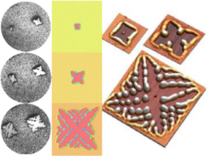 Dewetting of Si(001) and Ge(001) thin films