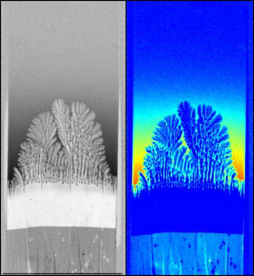 Solidification in situ et champ de concentration