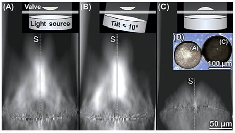 Imagerie Hyperspectrale d'une valve de diatomée